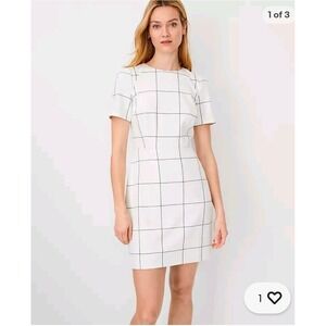 Ann Taylor Women's 12P Petite White & Brown Grid Print Short Sleeve Sheath Dress